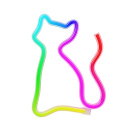 Neon LED RGB KOT FLRN03 + pilot Forever Light