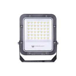 Naświetlacz LED PROXIM+ 30W 4000K 4500lm 230V IP65 Forever Light 150lm/W 5 lat gwarancji