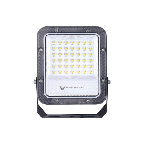 Naświetlacz LED PROXIM+ 30W 4000K 4500lm 230V IP65 Forever Light 150lm/W 5 lat gwarancji