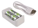 Ładowarka Ansmann USB Basic II + 2x AA 1300mAh