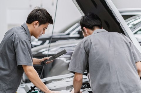 Lampa warsztatowa LED Ansmann WL230B, 3xAAA