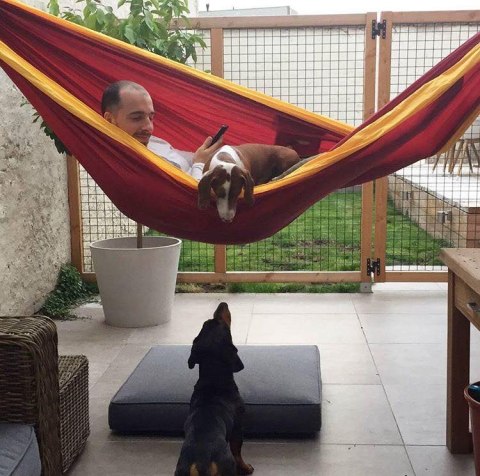 Hamak Ticket To The Moon Original Burgund/D.Yellow