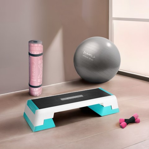 Step fitness HMS Premium AS007, biało-miętowy