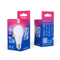 Forever Light Żarówka LED E27 A55 4W 480lm 6000K klasa E