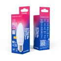 Forever Light Żarówka LED E27 C37 4.2W 480lm 6000K klasa E