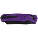 Nóż składany Bestechman Cicada's Wing Purple G10, Black 10Cr15MoV (BMK06B)
