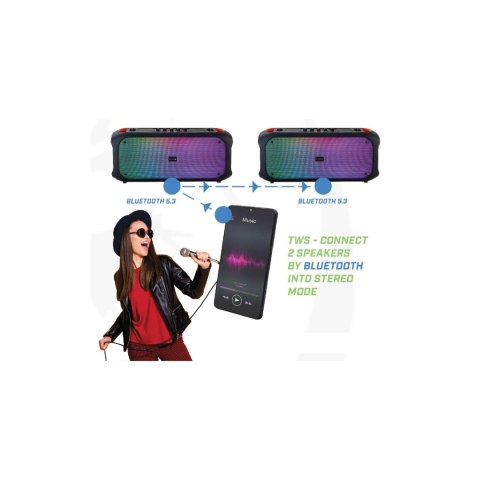 Rebeltec głosnik SoundBox 650 80W RMS