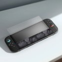 Szkło hartowane AMAZINGTHING Radix Matte Glass do Nintendo Switch 2 (2 szt.)
