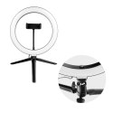 Lampa LED Ring Stream RGB pierścieniowa 10" z uchwytem na telefon + statyw czarna