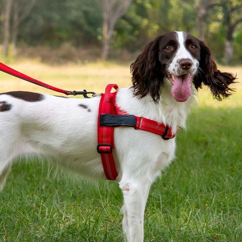 Szelki dla psa REFLECTIVE SILK rozmiar S czerwone