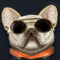 NIMMY futerał GLASSES COOL DOG do IPHONE 16 czarny