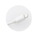 Ładowarka sieciowa do telefonu Blue Star USB A 1A 5W + kabel USB A do Lightning TFK-TC-1100B biała