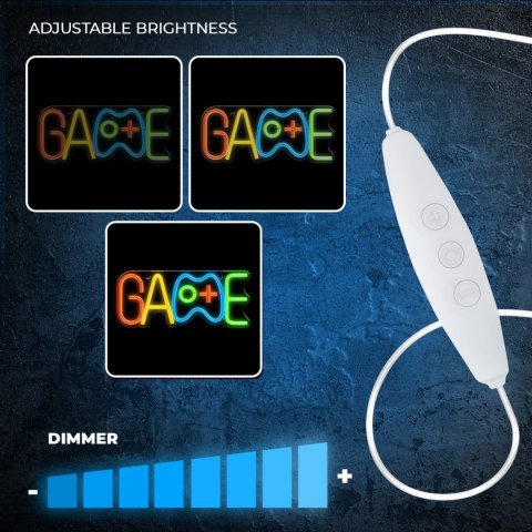 Forever Light Neon PLEXI LED GAME multikolor FPNE40