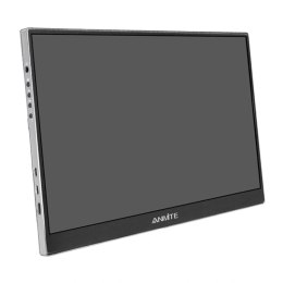 Monitor przenośny ANMITE A156W04T 15,6