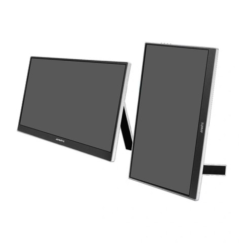 Monitor przenośny ANMITE A156W04T 15,6"