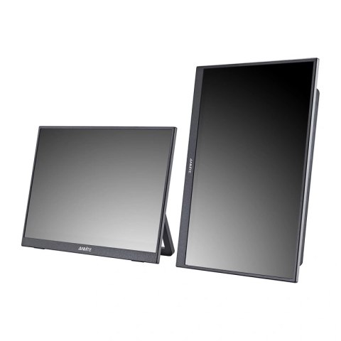 Monitor przenośny ANMITE A160W03H 16"