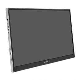 Monitor przenośny ANMITE A160W04H 16
