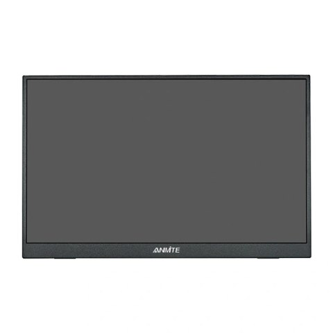 Monitor przenośny ANMITE A160W04H 16"