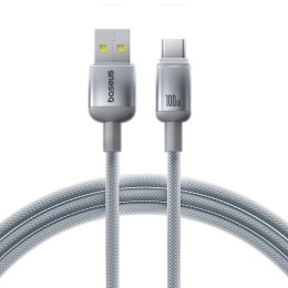 Baseus kabel Discolor USB - USB-C 100W 1m srebrny