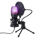 Wozinsky mikrofon do komputera studyjny gamingowy USB Statyw RGB - czarny