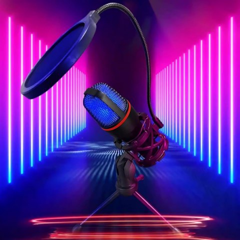 Wozinsky mikrofon do komputera studyjny gamingowy USB Statyw RGB - czarny