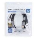 Kabel USB C do HDMI Blue Star 4K 60Hz - High Speed, HDR, ARC, Ethernet, 2 m czarny
