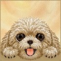 NIMMY etui do IPHONE 18 Pro Max / 17 Pro Max BIG EYED LYING TEDDY POODLE brązowy