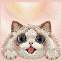 NIMMY etui do IPHONE 18 Pro / 17 Pro BIG EYED LYING RAGDOLL CAT z MagSafe różowy