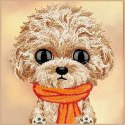 NIMMY etui do IPHONE 18 Pro / 17 Pro BIG EYED TEDDY POODLE brązowy