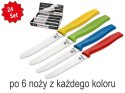 Boker Manufaktur Nóż śniadaniowy Display Mix 24 szt. Kolorowe