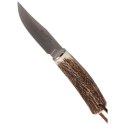 Nóż Muela Hidden Tang Deer Stag 80mm (MN-8A)