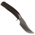 Nóż Muela Deer Stag, Satin X50CrMoV15 (DP-10A)