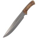 Nóż Muela Full Tang Olive Wood, Satin X50CrMoV15 (JABALI-21OL)