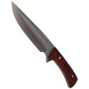 Nóż Muela Jabali-17E Coral Pakkawood, Satin X50CrMoV15