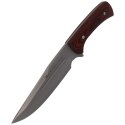 Nóż Muela Jabali-17E Coral Pakkawood, Satin X50CrMoV15
