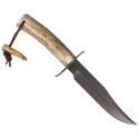 Nóż Muela Gred-16 Deer Stag, Satin X50CrMoV15