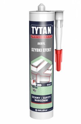 TYTAN AKRYL TYTAN PROFESSIONAL SZYBKI EFEKT 280ML