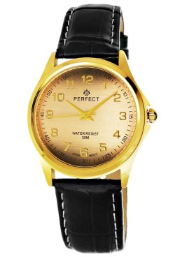 Zegarek Męski PERFECT C425-5