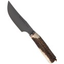 Nóż Muela Deer Stag, Satin X50CrMoV15 (BEAGLE-11A)