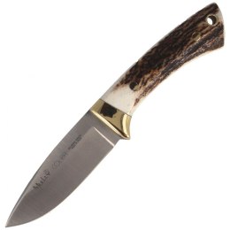 Nóż Muela Colibri Deer Stag, Satin X50CrMoV15 (COL-7A)