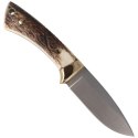 Nóż Muela Colibri Deer Stag, Satin X50CrMoV15 (COL-7A)
