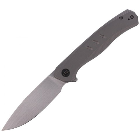 Nóż składany WE Knife Seer LE No 399/420 Gray Titanium, Rubbed Silver (WE20015-3)