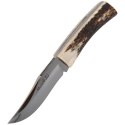 Nóż Muela Bowie Deer Stag, Mirror 1.4116 (BWE-8A)