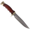 Nóż Muela Ranger Bowie Pakkawood, Satin X50CrMoV15 (RANGER-14R)