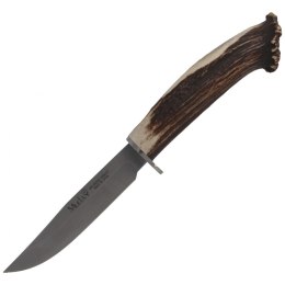 Nóż Muela Gredos Crown Stag, Satin X50CrMoV15 (GRED-12S)