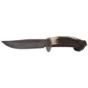 Nóż Muela Gredos Crown Stag, Satin X50CrMoV15 (GRED-12S)