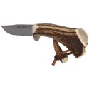 Nóż Muela Gredos Deer Stag, Satin X50CrMoV15 (GRED-13H)