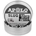 Śrut Apolo Slug 21 5.5 mm, 250 szt. 1.36g/21.0gr (19300)