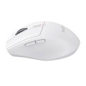 Bezprzewodowa mysz Havit MS61WB-W (biała)