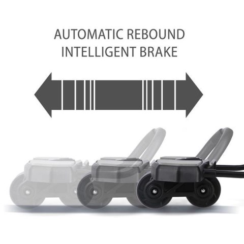 KOŁO DO ĆWICZEŃ MIĘŚNI BRZUCHA Z PODPARCIEM